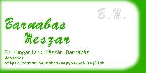 barnabas meszar business card